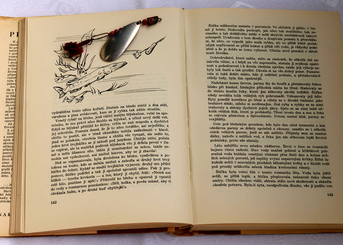 Historická rybářská literatura